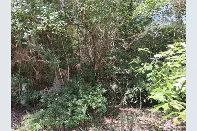 Lot 15 Sec 17 Sumac Drive, Brookeland, TX 75931 - Photo 11