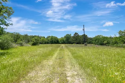 1719 Stone Street, Bedias, TX 77831 - Photo 5