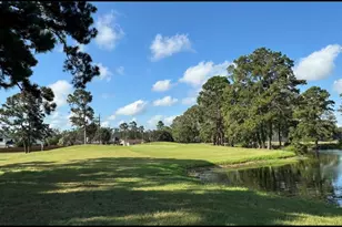 20313 Sunny Shores Dr, Humble, TX 77346 - Photo 43