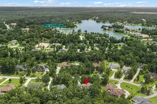27710 Ossineke Dr, Spring, TX 77386 - Photo 49
