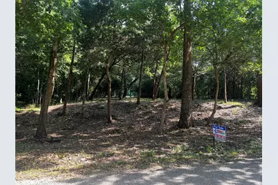 00 Chadwick Hogan Road, Chappell Hill, TX 77426 - Photo 1