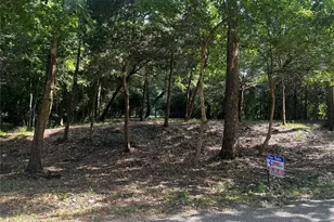 00 Chadwick Hogan Rd, Chappell Hill, TX 77426 - Photo 1