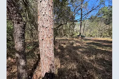 Lot 107 Whisperwood Drive, Onalaska, TX 77360 - Photo 1