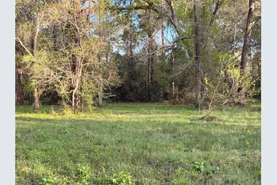 Tbd County Road 2284 Freddie Rice Road, Cleveland, TX 77327 - Photo 5