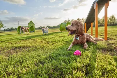 24923 Poppy Terrace Court, Katy, TX 77493 - Photo 27