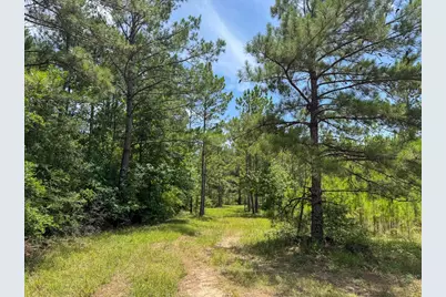 8 Benny Griffin Road, Livingston, TX 77351 - Photo 43