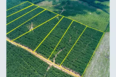 8 Benny Griffin Road, Livingston, TX 77351 - Photo 3