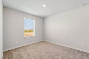 29018 Fig Vine Dr, Waller, TX 77484 - Photo 17