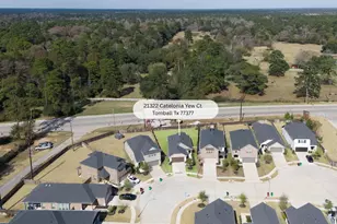 21322 Catelonia Yew Ct, Tomball, TX 77377 - Photo 3