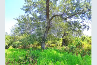 0 Tbd Fm 2503 Road, Fayetteville, TX 78940 - Photo 7