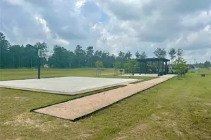 12228 Truchard Dr, Conroe, TX 77306 - Photo 5