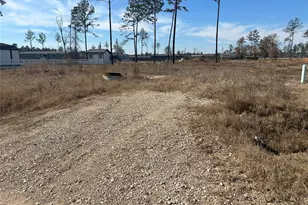 12228 Truchard Dr, Conroe, TX 77306 - Photo 1