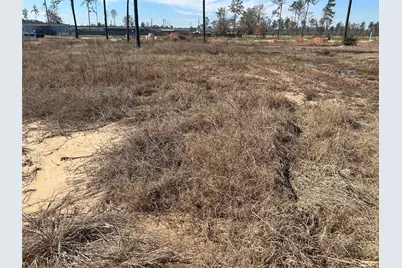 12228 Truchard Drive, Conroe, TX 77306 - Photo 3