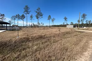 12228 Truchard Dr, Conroe, TX 77306 - Photo 3