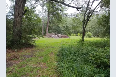 1806 S Elizabeth Avenue, Kirbyville, TX 75956 - Photo 3