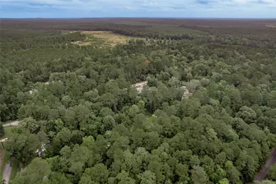 Lot 04 Sweetgum Drive, Trinity, TX 75862 - Photo 21