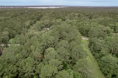 Lot 04 Sweetgum Drive, Trinity, TX 75862 - Photo 19