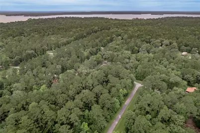 Lot 04 Sweetgum Drive, Trinity, TX 75862 - Photo 25