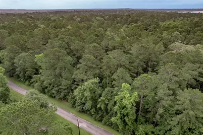 Lot 04 Sweetgum Drive, Trinity, TX 75862 - Photo 13