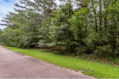 Lot 04 Sweetgum Drive, Trinity, TX 75862 - Photo 9