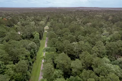 Lot 04 Sweetgum Drive, Trinity, TX 75862 - Photo 15