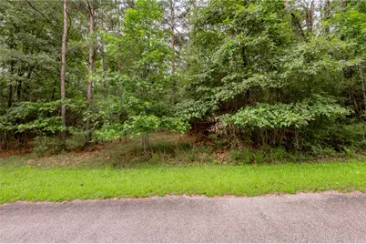 Lot 04 Sweetgum Drive, Trinity, TX 75862 - Photo 5
