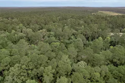 Lot 04 Sweetgum Drive, Trinity, TX 75862 - Photo 17
