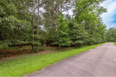 Lot 04 Sweetgum Drive, Trinity, TX 75862 - Photo 1