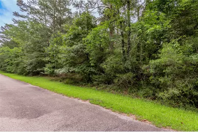 Lot 04 Sweetgum Drive, Trinity, TX 75862 - Photo 7