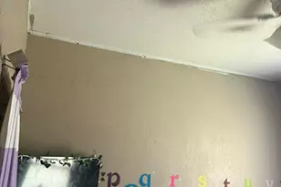 4625 Fuqua St, Houston, TX 77048 - Photo 27