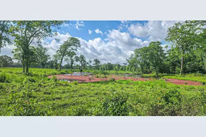 000 Tinney Road, Livingston, TX 77351 - Photo 3