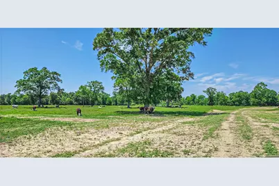 000 Tinney Road, Livingston, TX 77351 - Photo 5