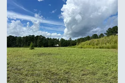 Tbd Private Road 8309, Woodville, TX 77624 - Photo 7