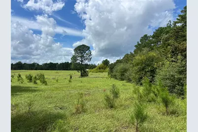 Tbd Private Road 8309, Woodville, TX 77624 - Photo 5