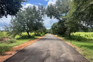 Tbd Private Road 8309, Woodville, TX 77624 - Photo 1