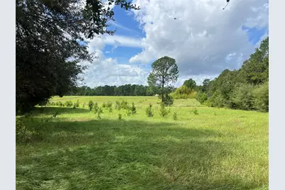 Tbd Private Road 8309, Woodville, TX 77624 - Photo 3