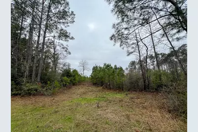 2 Fm 2626, Newton, TX 75966 - Photo 7