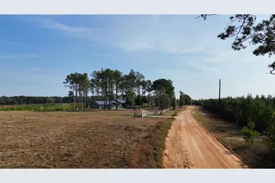 Tbd 3 Young Road, Livingston, TX 77351 - Photo 7