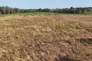 Tbd 3 Young Rd, Livingston, TX 77351 - Photo 1