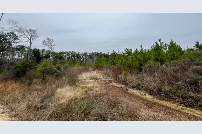 3 Fm 2626, Newton, TX 75966 - Photo 11