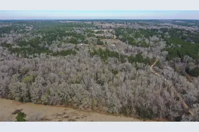 Tbdlot 3 County Road 2240, Grapeland, TX 75844 - Photo 1