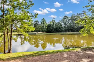 16 Clearview Terrace Pl, The Woodlands, TX 77375 - Photo 45