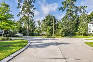 16 Clearview Terrace Pl, The Woodlands, TX 77375 - Photo 43