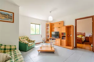 22 Rua AcÃºrcio Pereira, Almont, CO 1800- - Photo 5