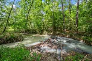 23731 Elmwood Dr, Porter, TX 77365 - Photo 45