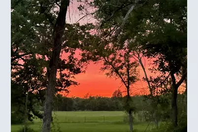 2322 County Road 126, Bedias, TX 77831 - Photo 43
