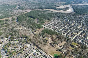 0 Tr 9 Dunnam Rd, Houston, TX 77345 - Photo 15