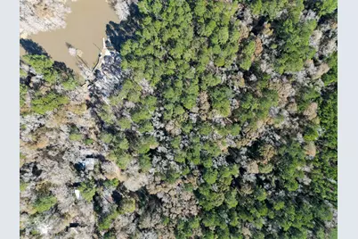 0 Tr 9 Dunnam Road, Houston, TX 77345 - Photo 3