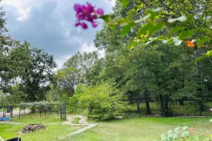 619 Lakeville Dr, Kingwood, TX 77339 - Photo 13