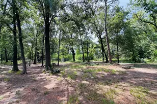 619 Lakeville Dr, Kingwood, TX 77339 - Photo 29